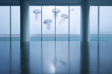 Similar image 22360398