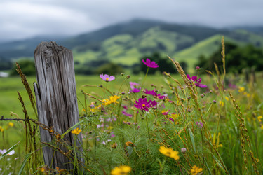 Similar image 22360419