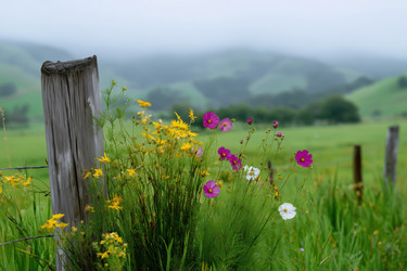 Similar image 22360408