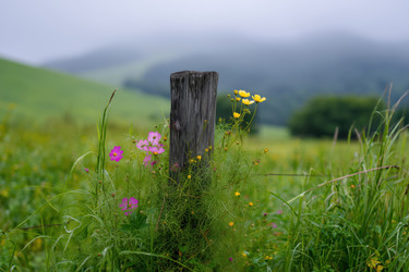 Similar image 22360410