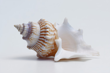 Similar image 22360414