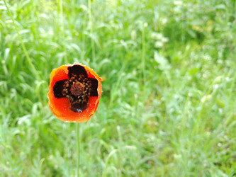 Similar image 22381458