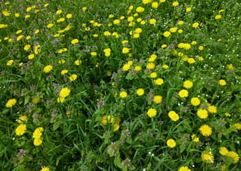 Similar image 22381460