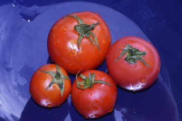 Similar image 22365916