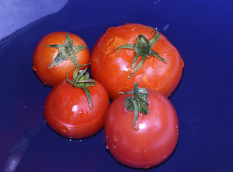 Similar image 22377317