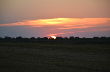 Similar image 22353131