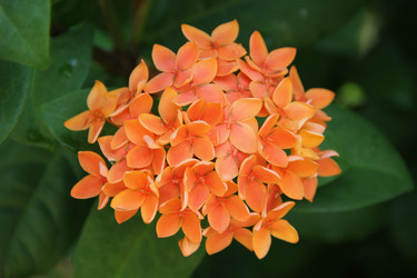 Similar image 22355145