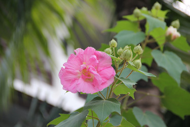 Similar image 22355147