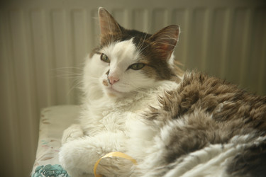 Similar image 22375298