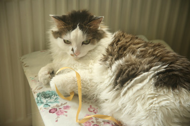 Similar image 22375300