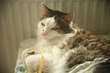 Similar image 22375313