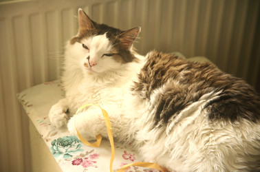 Similar image 22375314