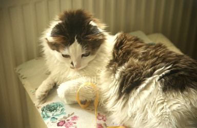 Similar image 22375315