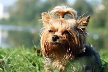 Similar image 22388136