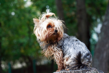 Similar image 22388150