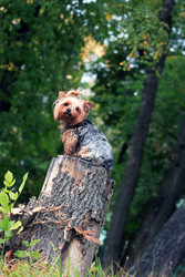 Similar image 22388151