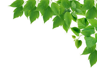 Similar image 22388167