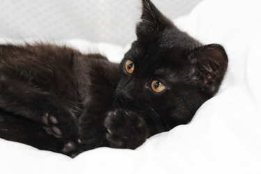 Similar image 22388216