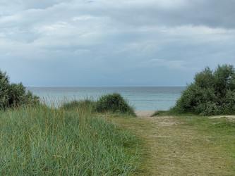 Similar image 22355124