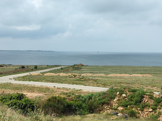 Similar image 22355125