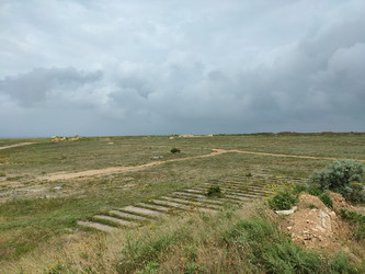 Similar image 22355126