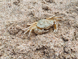 Similar image 22355128