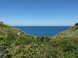 Similar image 22355130