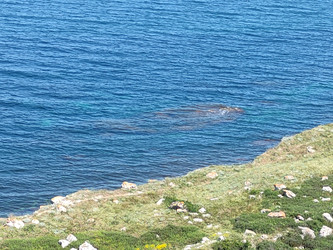 Similar image 22355131