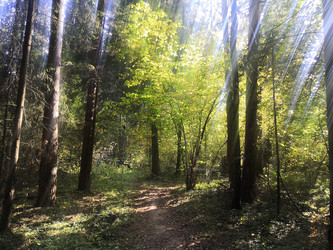 Similar image 22355141