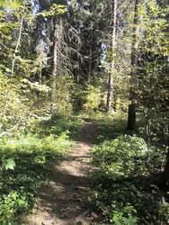 Similar image 22355148