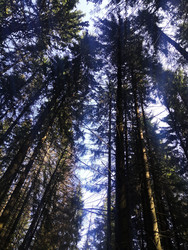 Similar image 22355149