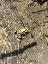 Similar image 22355150