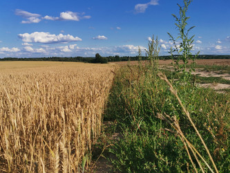 Similar image 22355151