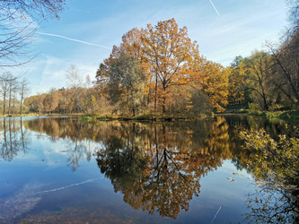 Similar image 22355154