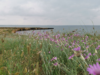 Similar image 22357443