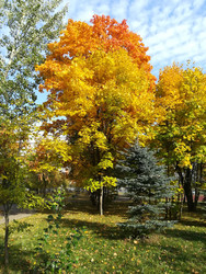 Similar image 22357456