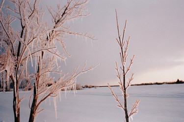 Similar image 22373090