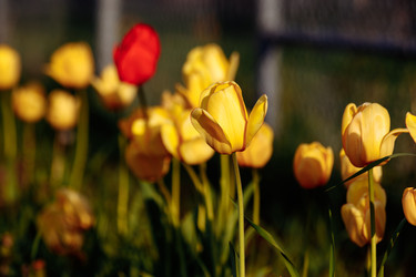 Similar image 22373164