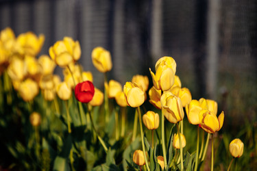 Similar image 22373165