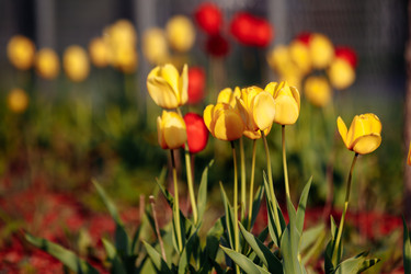 Similar image 22373166