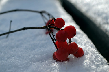 Similar image 22359119