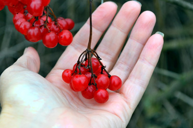 Similar image 22363758