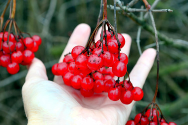 Similar image 22363759