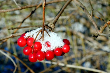 Similar image 22363762