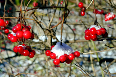 Similar image 22363763