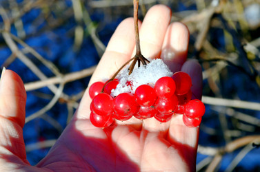 Similar image 22363764