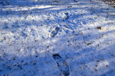 Similar image 22363766