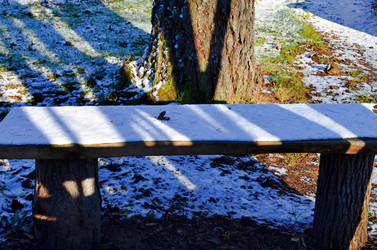 Similar image 22363767