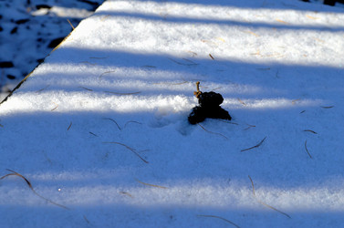 Similar image 22363768