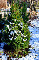 Similar image 22363769